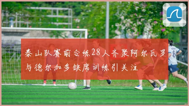 泰山队赛前合练28人齐聚阿尔瓦罗与德尔加多缺席训练引关注